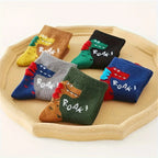 Dinosaur Socks Pack