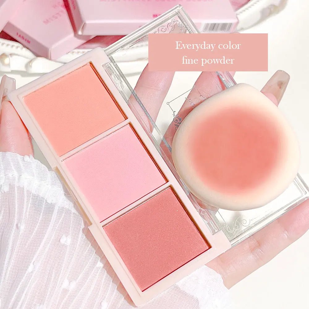 HISYI Three Color Nude Matte Blush