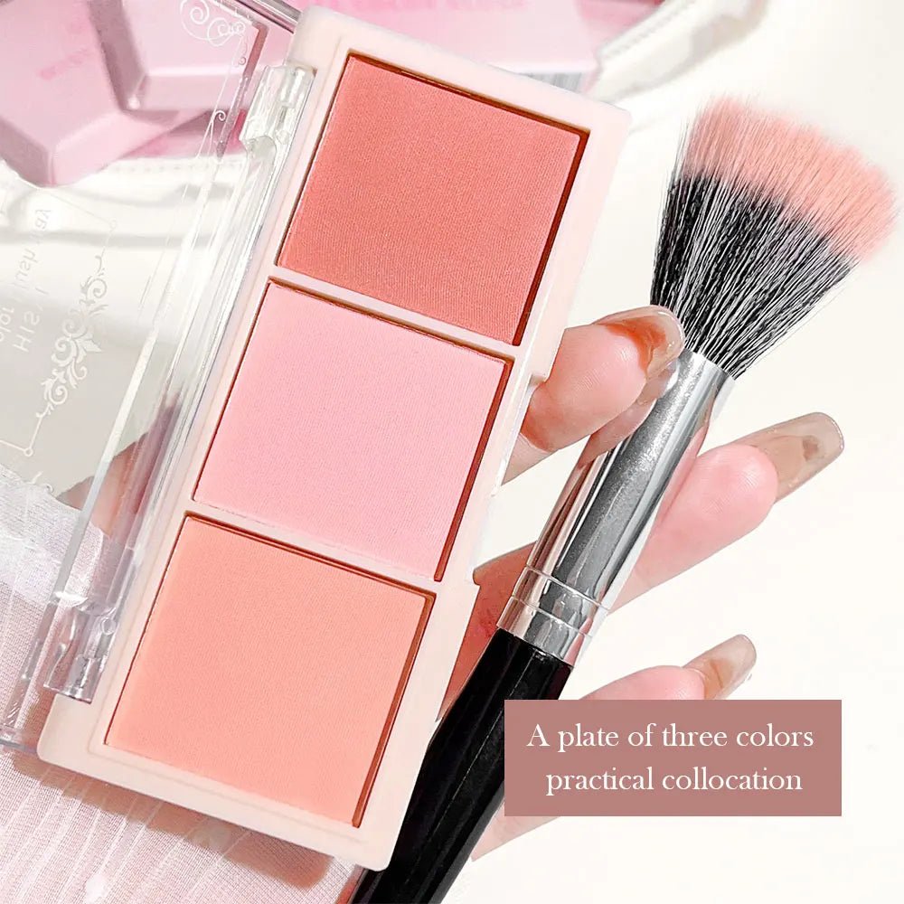 HISYI Three Color Nude Matte Blush
