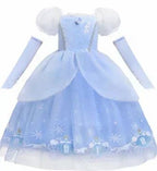Kids Belle Aurora Costume Dress